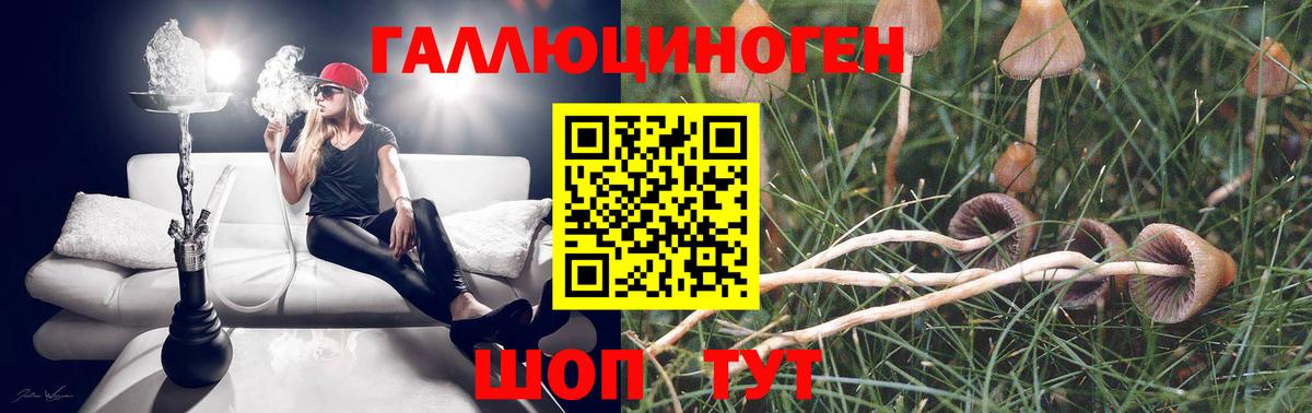 Солнечногорск  Псилоцибиновые грибы MAGIC MUSHROOMS  Вход с VPN 